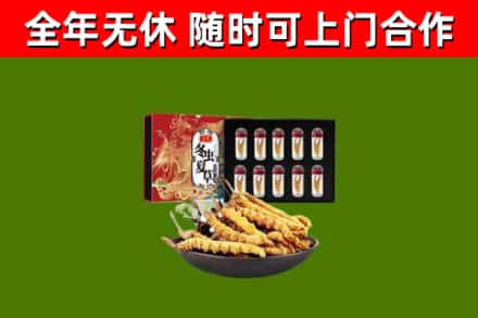 新林区回收冬虫夏草价格