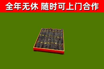 新林区回收海参